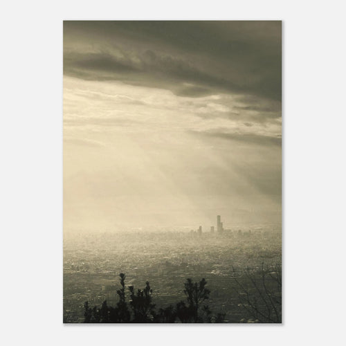 01d04248-3947-4e7d-b2d9-8db653d768c1