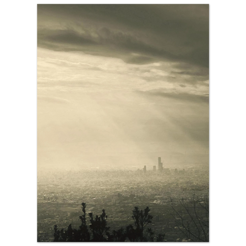 8f69ae28-172d-4b63-87d8-63827a6a7839